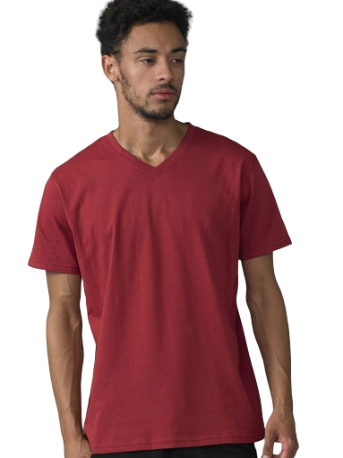 D555 Duke V-Neck Premium Weight Cotton Short Sleeve T-Shirts