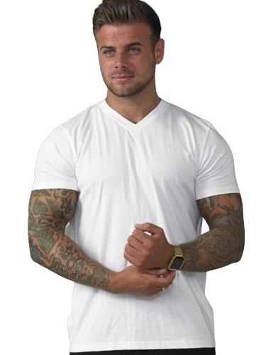 D555 Duke V-Neck Premium Weight Cotton Short Sleeve T-Shirts