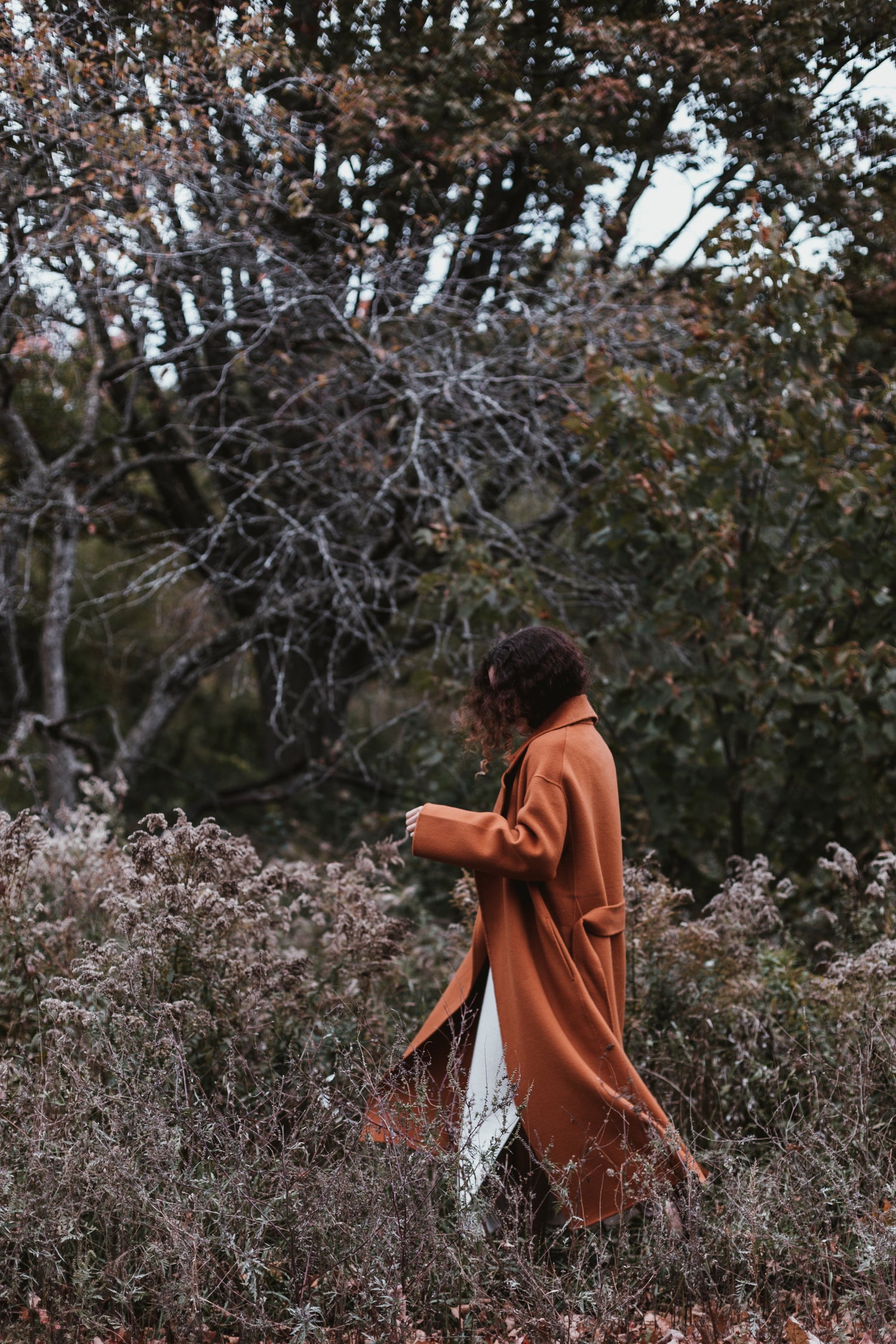 Autumn-Winter Collection