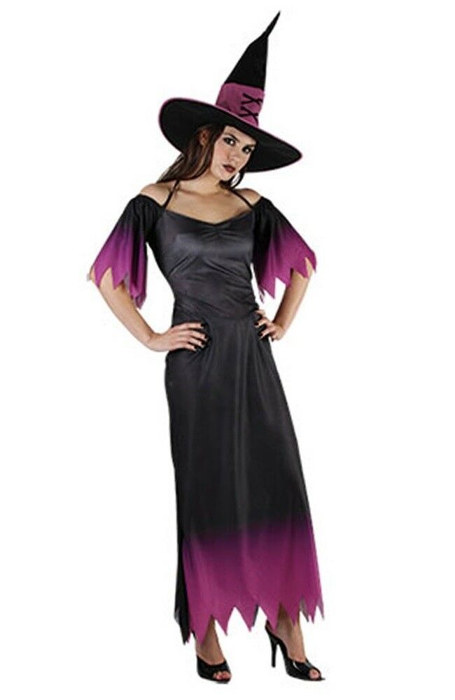 Lades Purple Witch Halloween Costume.